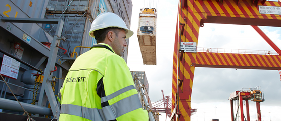 Border employee conducting biosecurity checks.